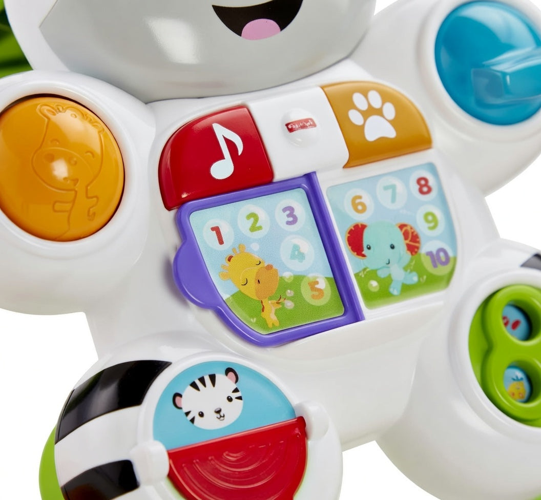 Zebra Steps Musical Toddler Trainer